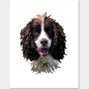 Springer Spaniel Dog Posters and Art